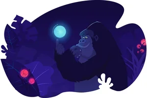 Get a .COM domain for just $6.49